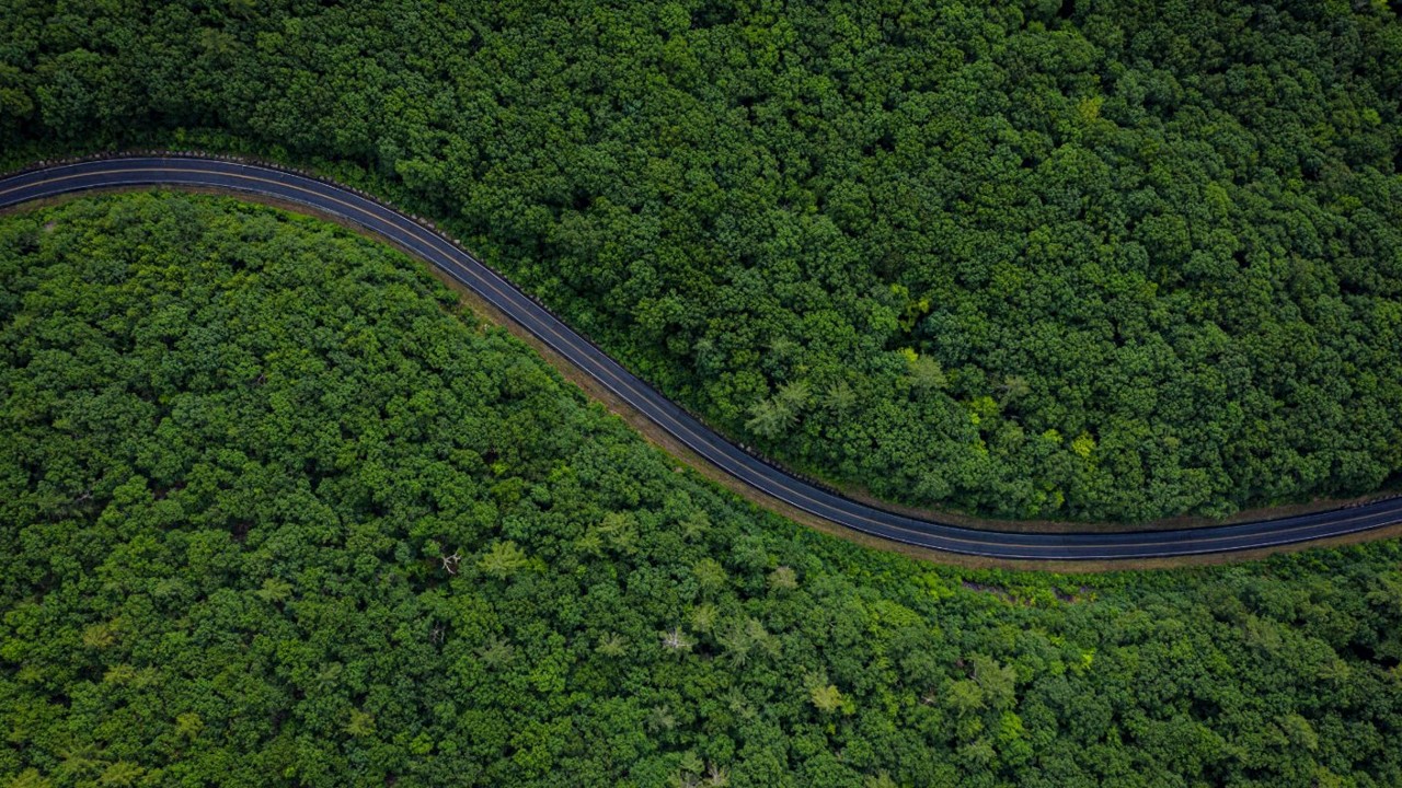 Greenwashing? No, thank you! – How ‘what when why’ makes events truly sustainable