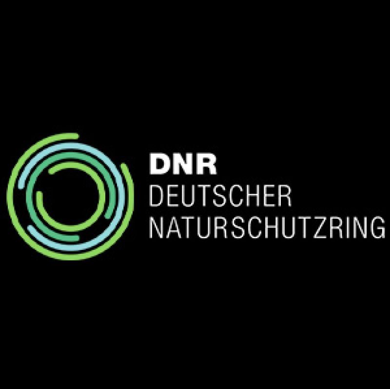 Logo DNR